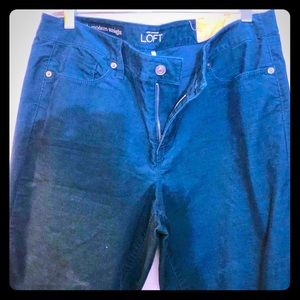 Loft straight leg blue cords. NWT.